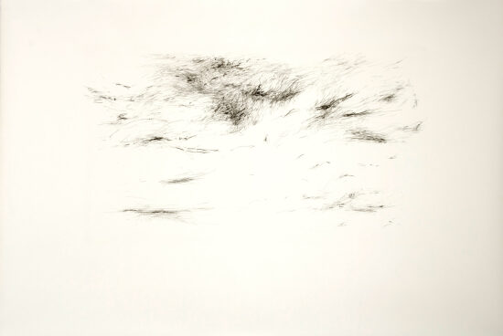 Sans titre, litho, 2017, 74,8 / 53,5 cm, 10 exemplaires.