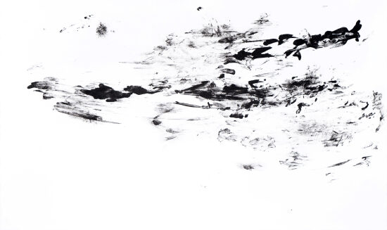 Sans titre, litho, 2017, 52 / 31 cm, 5 exemplaires.